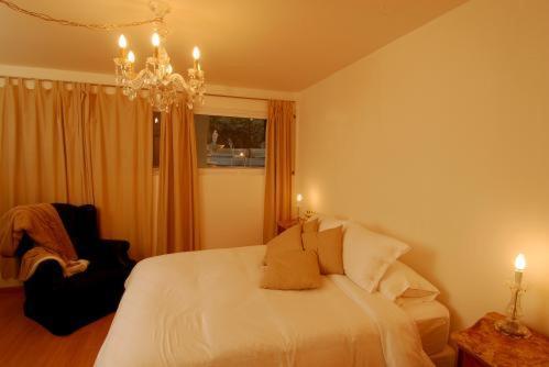 Aura Suites Boutique Hotel Буенос Айрес Екстериор снимка